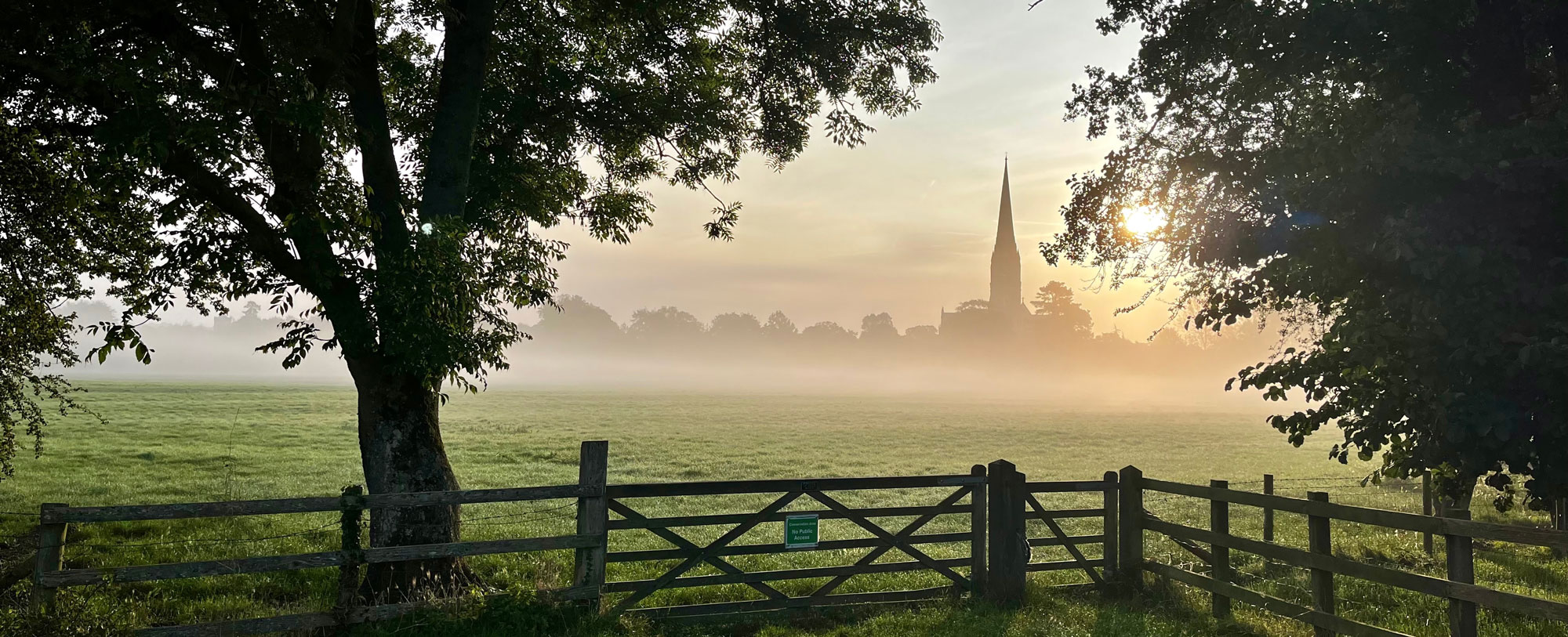 Salisbury Cathedral spire across the water meadows